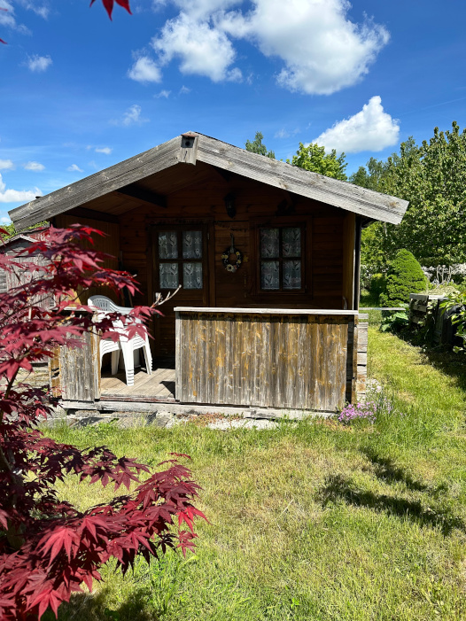 Bild1