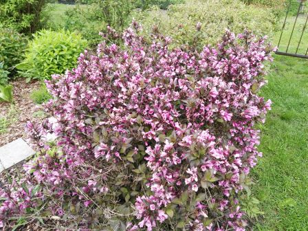 Bild9
