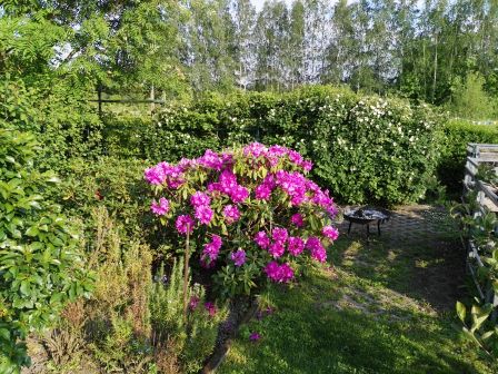 Bild10