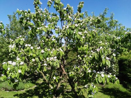Bild16