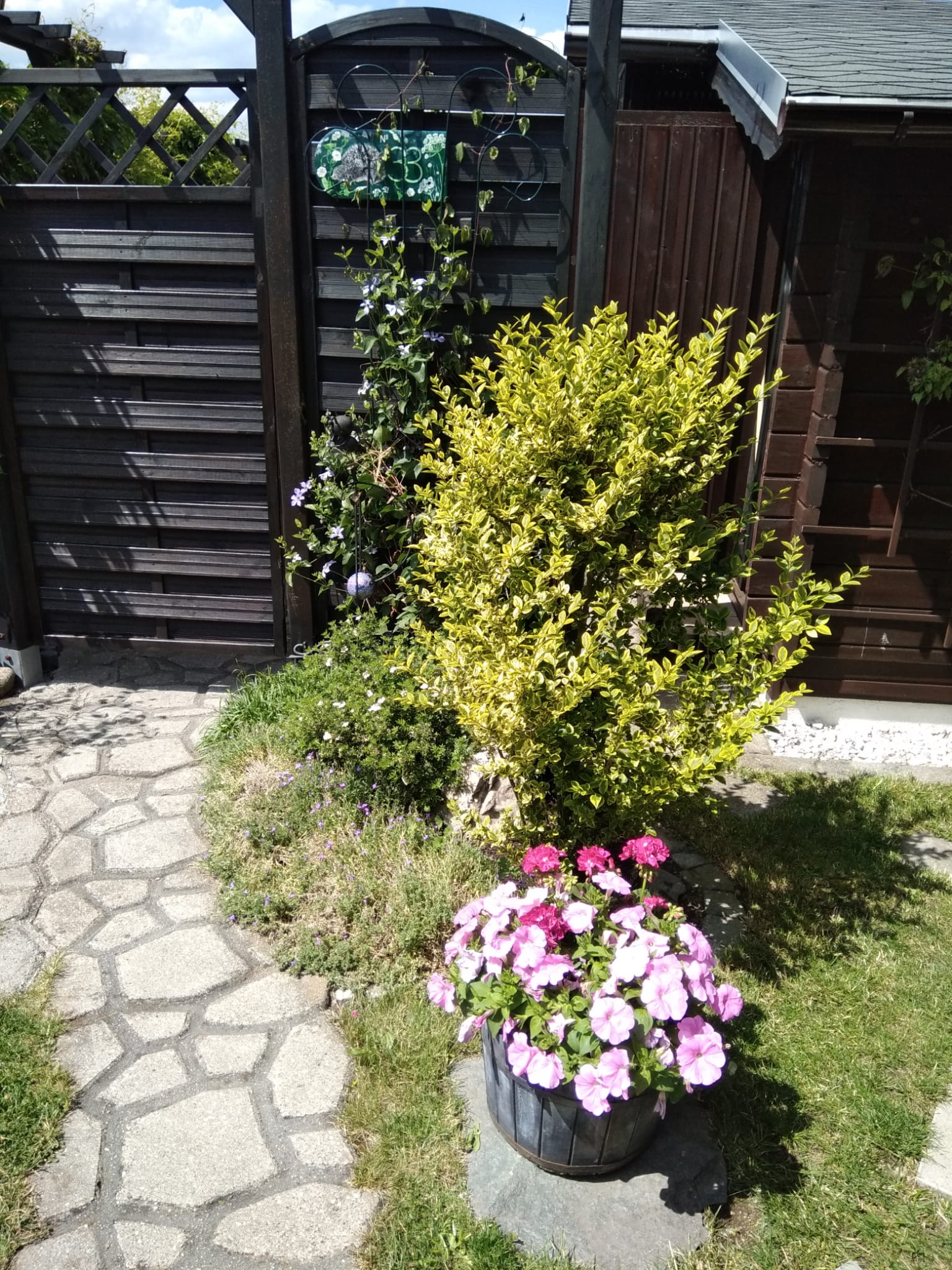 Bild10