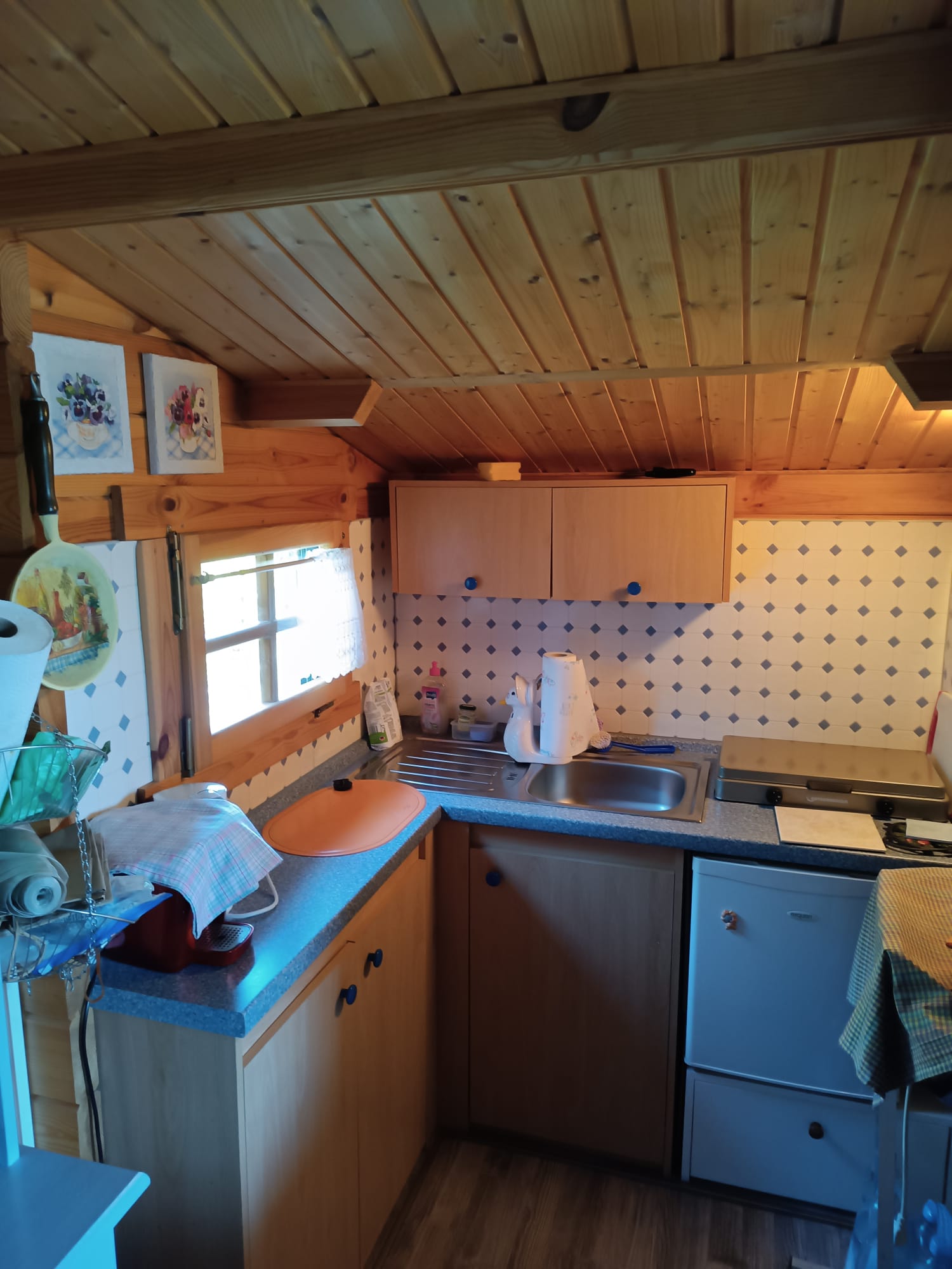 Bild6