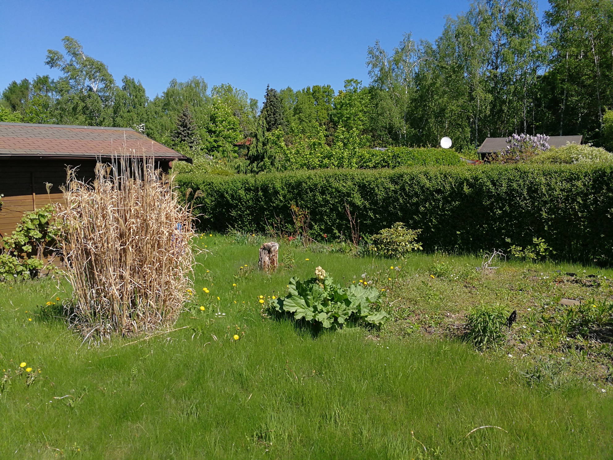 Garten 67