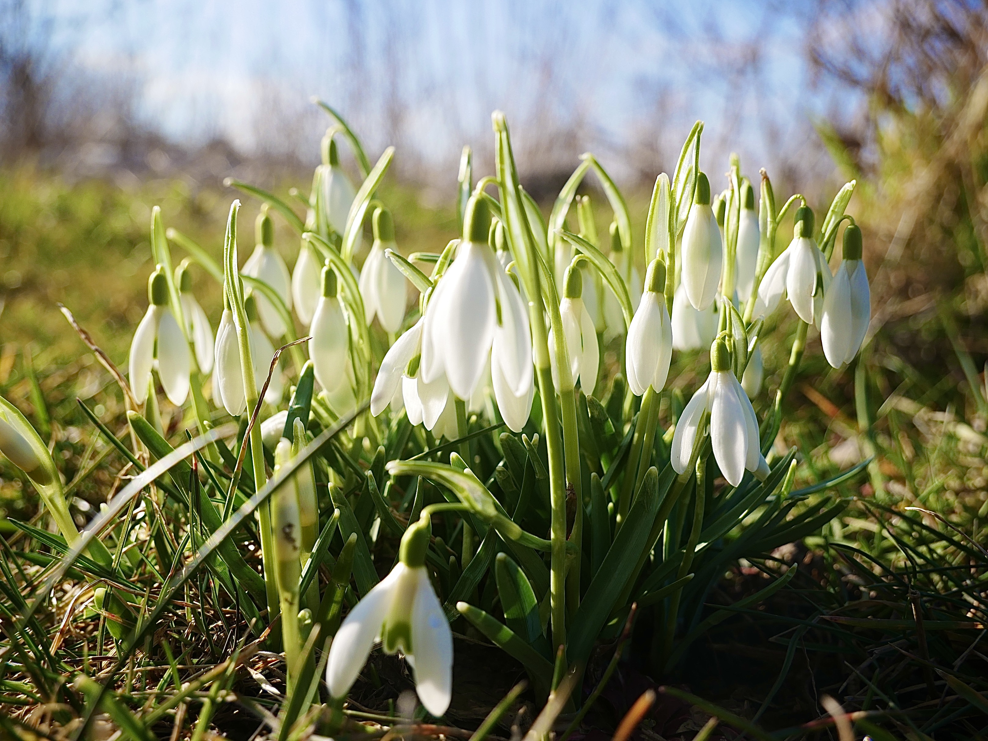 Frühling